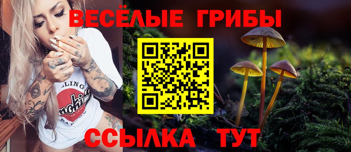 Галлюциногенные грибы прущие грибы Волгодонск