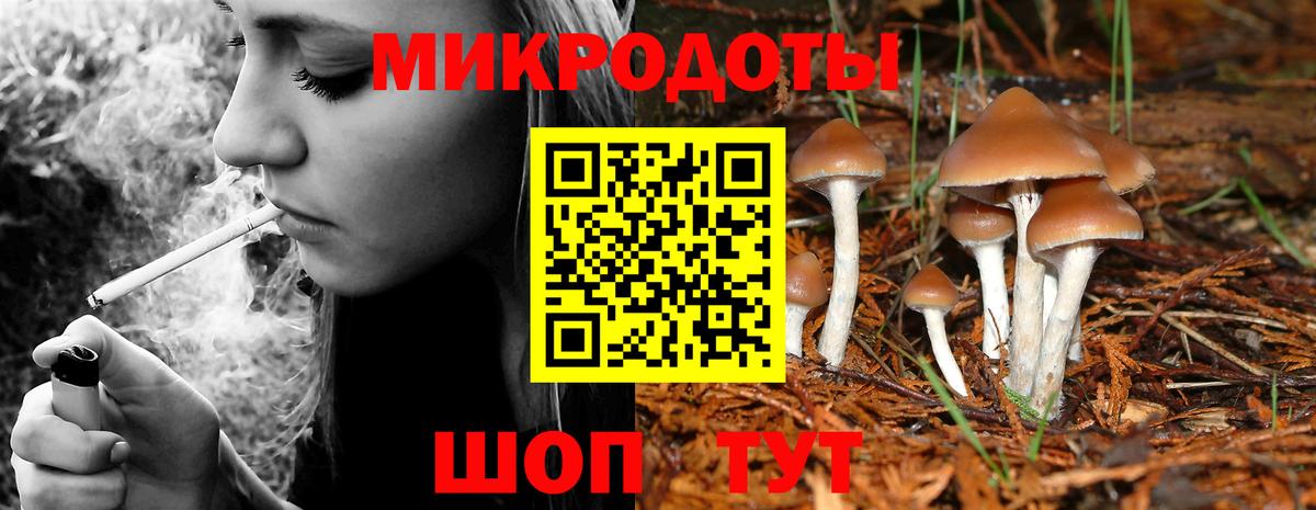 Волгодонск  Псилоцибиновые грибы Psilocybine cubensis  Вход с VPN 